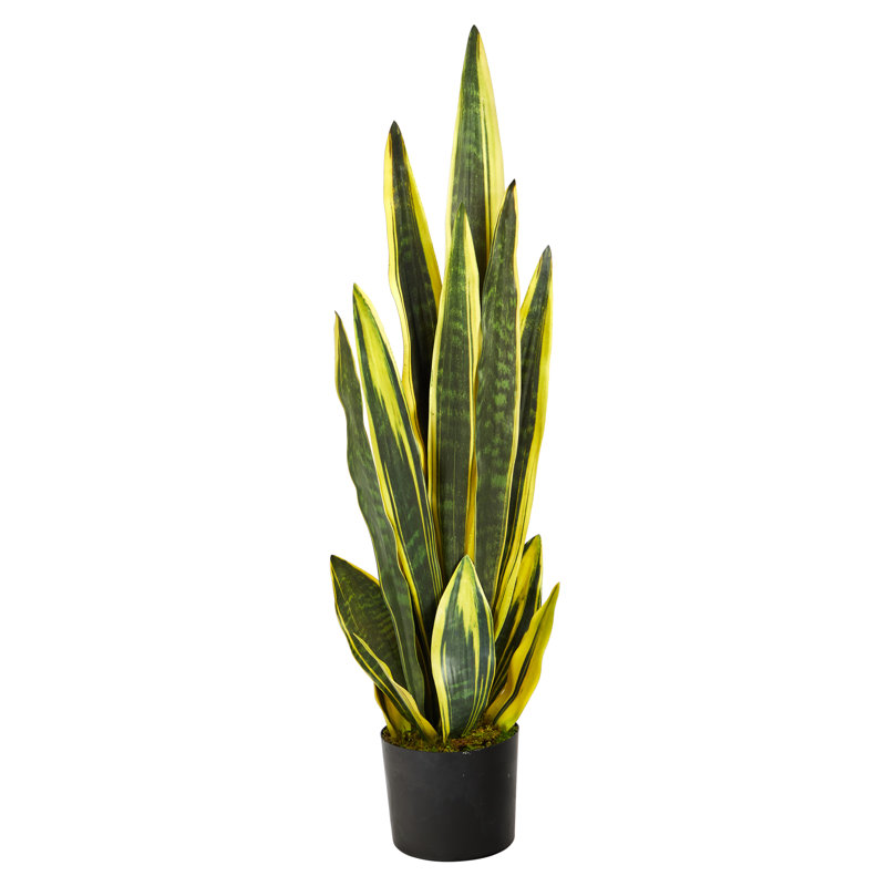 Primrue Faux Snake Plant Tree in Planter & Reviews Wayfair